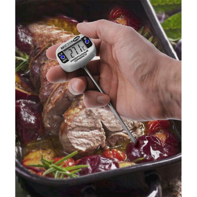 Термометр МЕГЕОН 26100 Термометр МЕГЕОН 26100