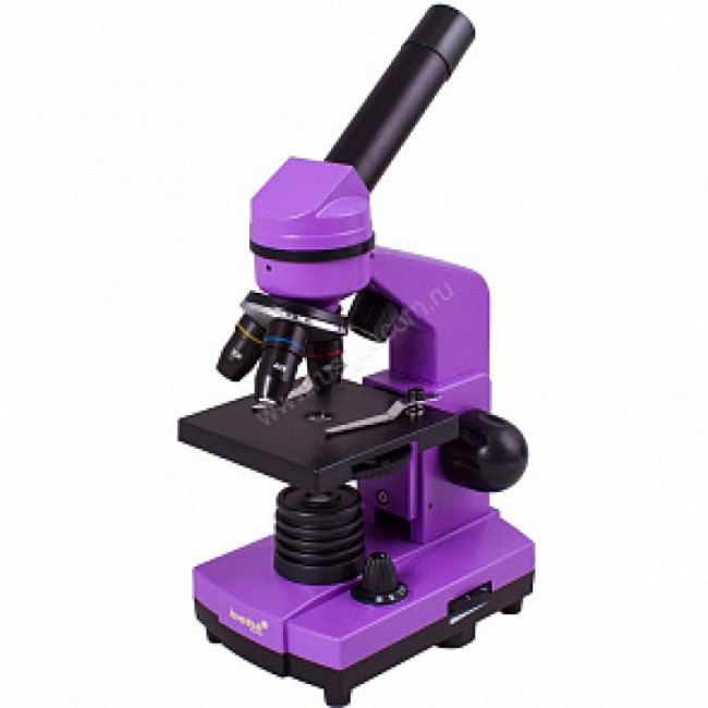Микроскоп Levenhuk Rainbow 2L Amethyst (Аметист) Микроскоп Levenhuk Rainbow 2L Amethyst (Аметист)