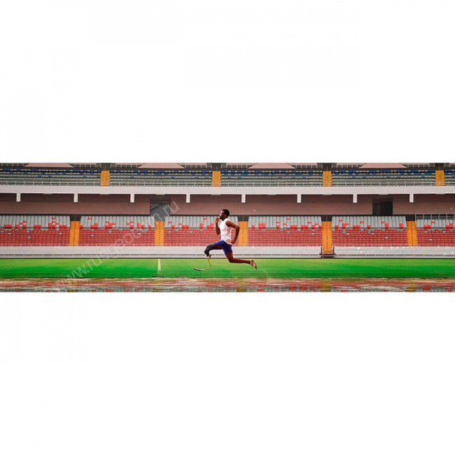 Часы Garmin Forerunner 55 аква