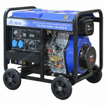 Сварочный генератор TSS PRO DGW 3.0/250E-R Сварочный генератор TSS PRO DGW 3.0/250E-R