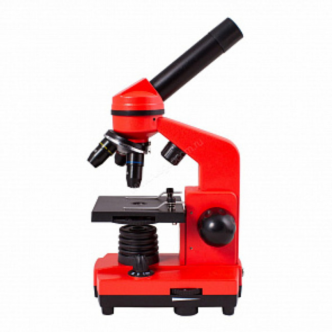 Микроскоп Levenhuk Rainbow 2L Orange (Апельсин) Микроскоп Levenhuk Rainbow 2L Orange (Апельсин)
